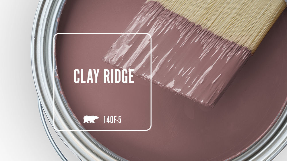 CLAY RIDGE Color for Mobile