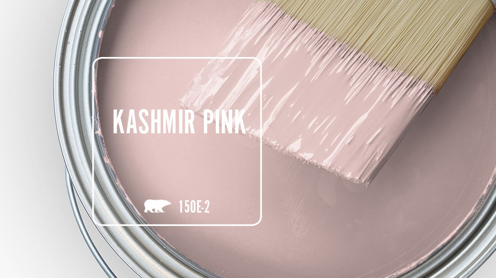 KASHMIR PINK Color