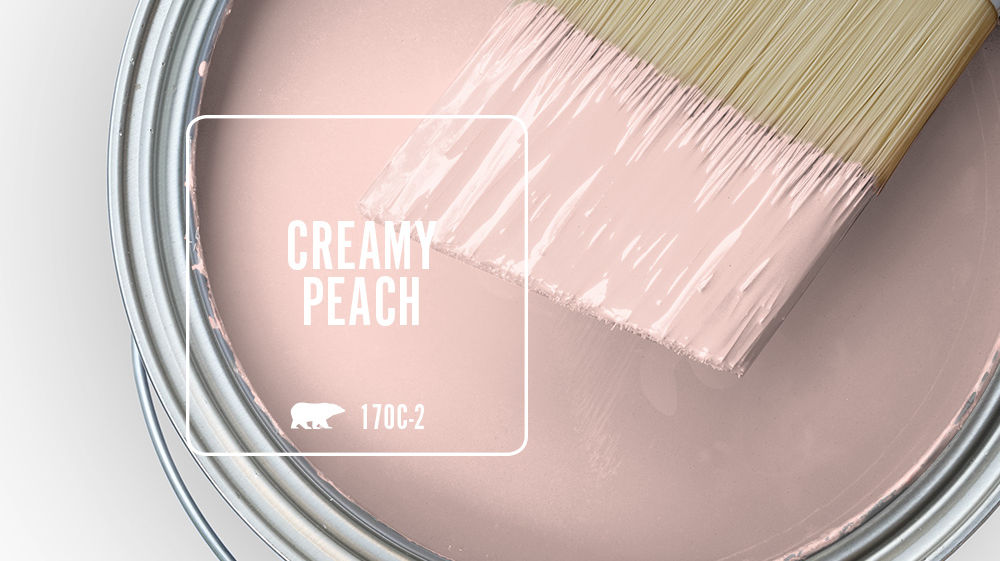 CREAMY PEACH Color for Mobile