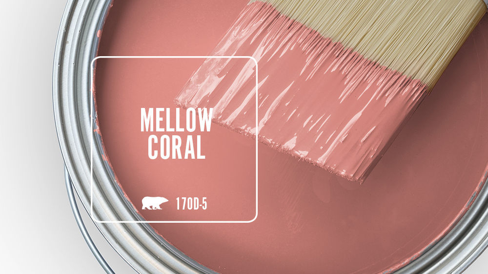 MELLOW CORAL Color