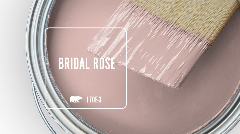 BRIDAL ROSE Color