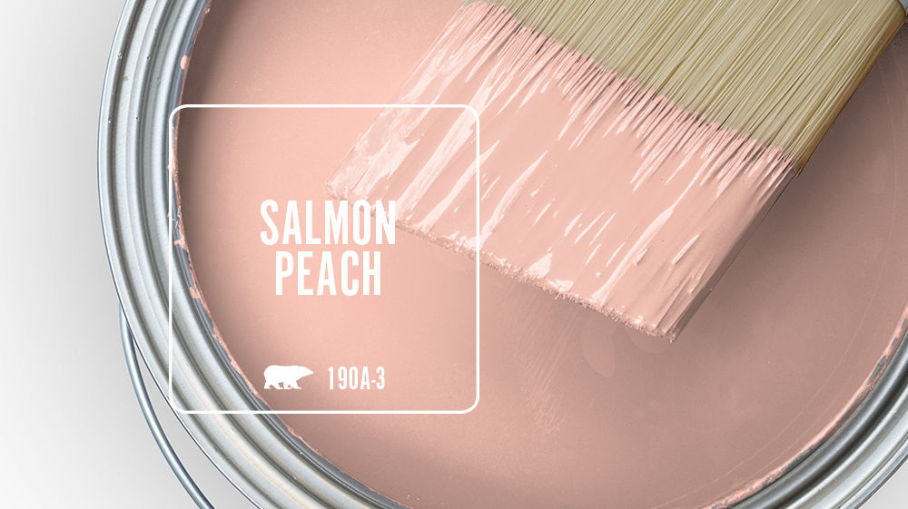 SALMON PEACH Color for Mobile