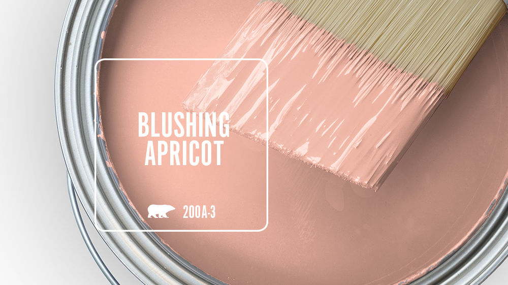 BLUSHING APRICOT Color for Mobile