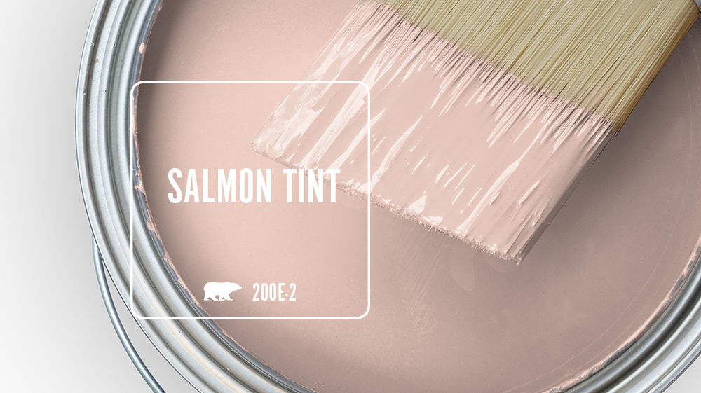 SALMON TINT Color for Mobile