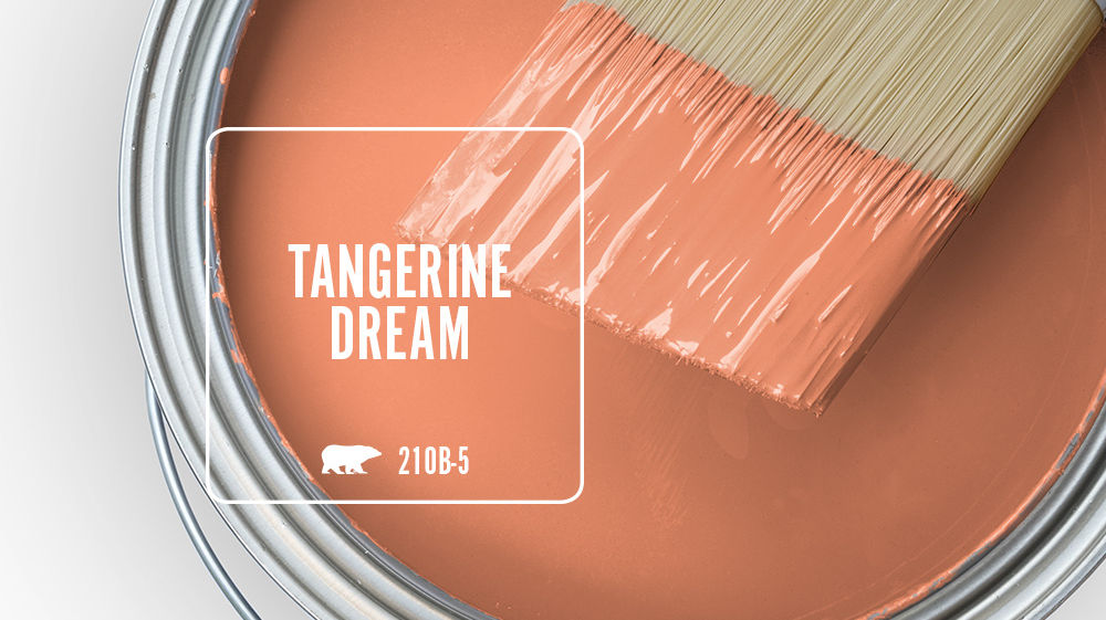 TANGERINE DREAM Color for Mobile