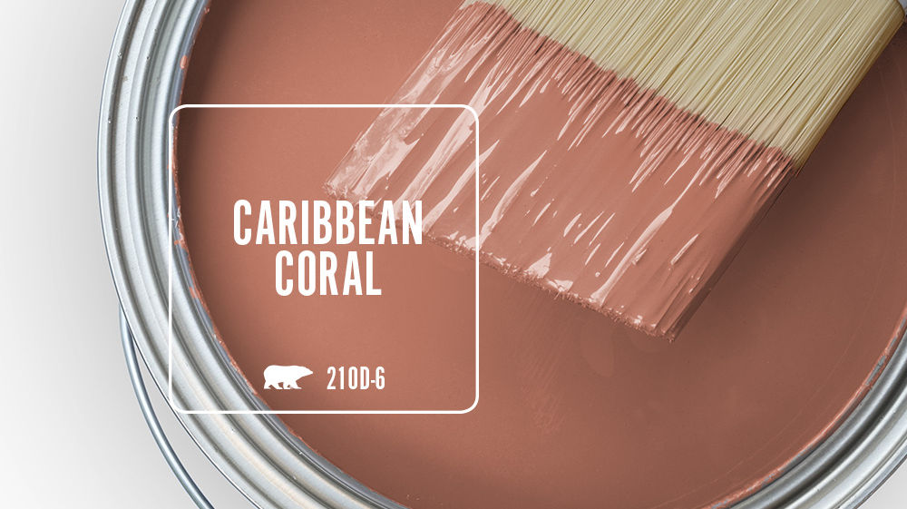 CARIBBEAN CORAL Color