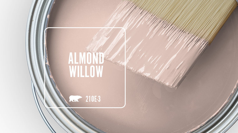 ALMOND WILLOW Color for Mobile