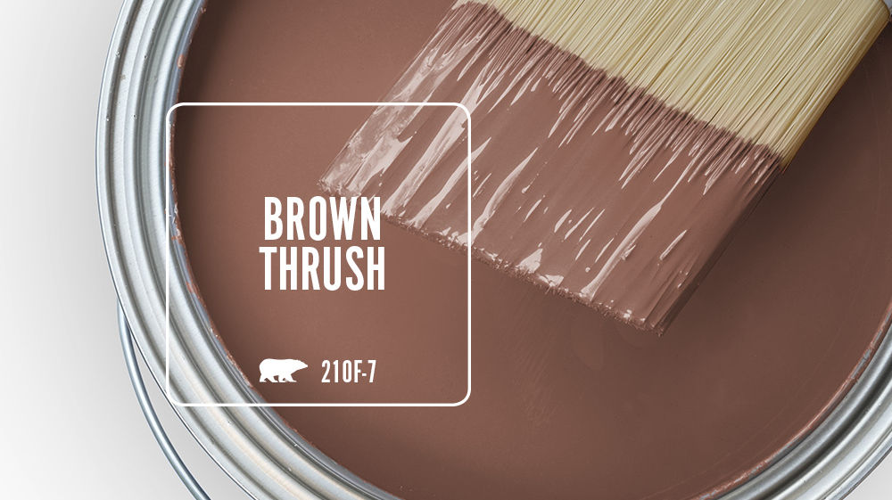 BROWN THRUSH Color for Mobile