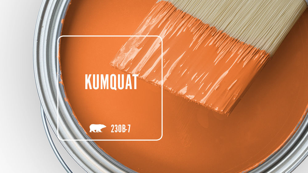 KUMQUAT Color for Mobile