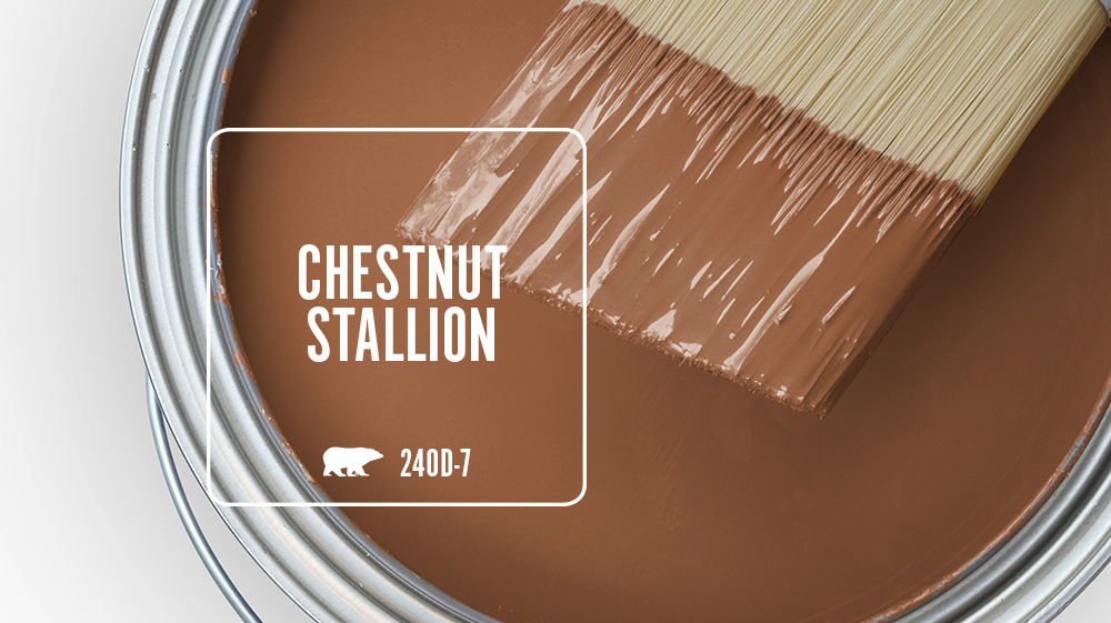 CHESTNUT STALLION Color for Mobile