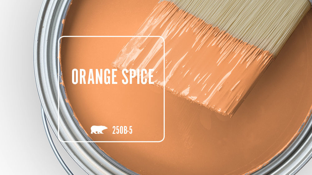 ORANGE SPICE Color for Mobile