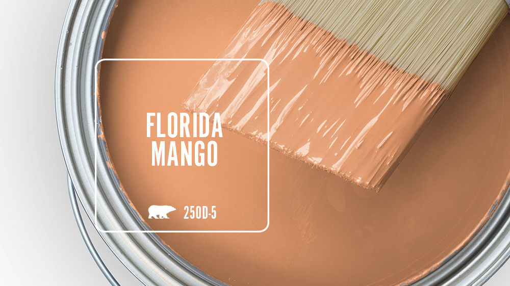 FLORIDA MANGO Color for Mobile
