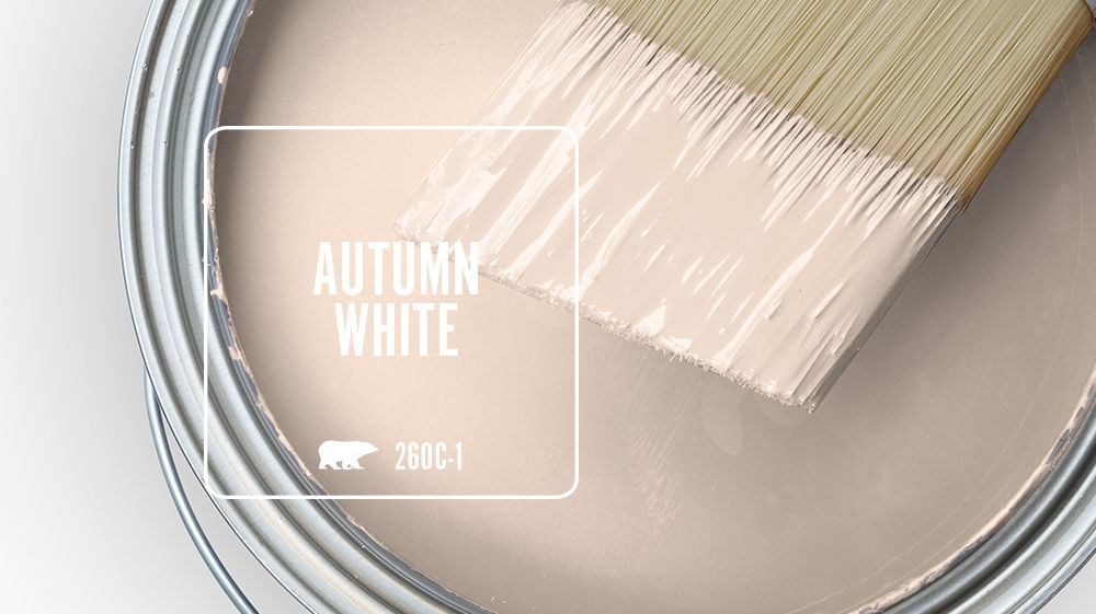 AUTUMN WHITE Color for Mobile