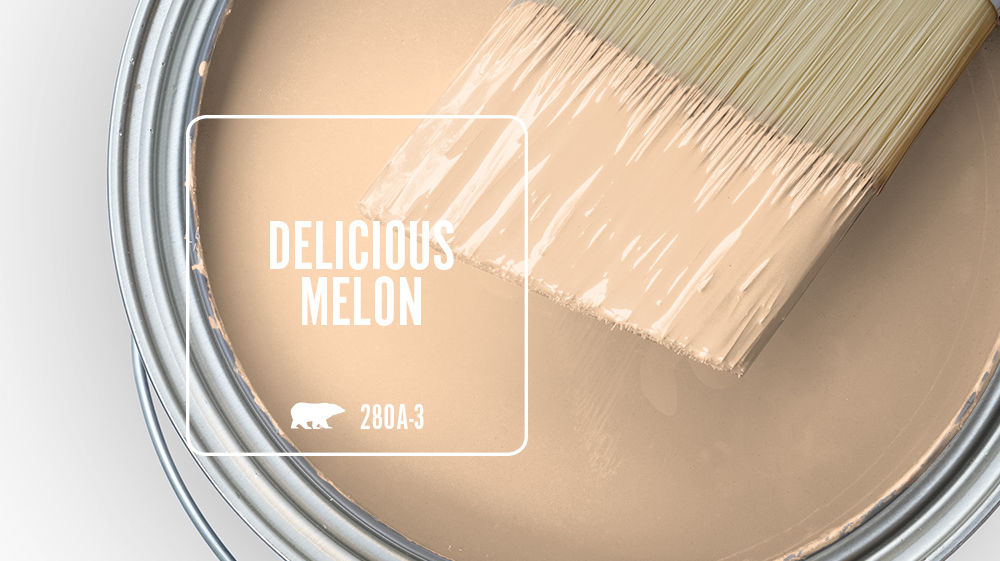 DELICIOUS MELON Color for Mobile