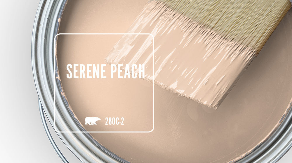 SERENE PEACH Color for Mobile