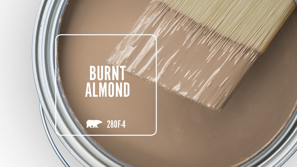 BURNT ALMOND Color for Mobile