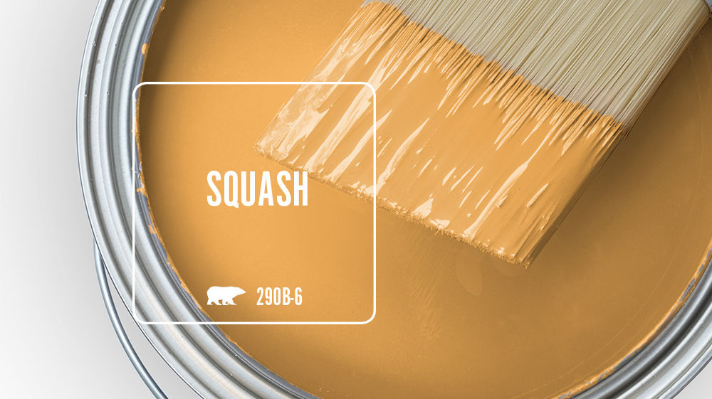 SQUASH Color for Mobile