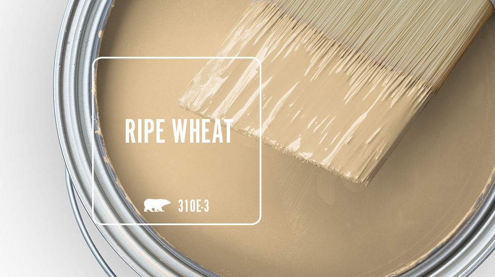 RIPE WHEAT Color