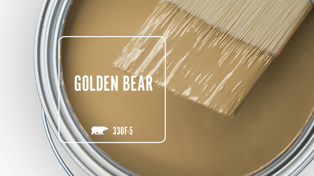 GOLDEN BEAR Color for Mobile