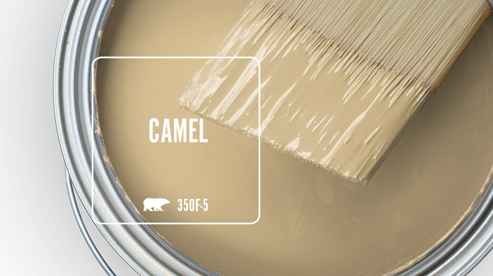 CAMEL Color for Mobile