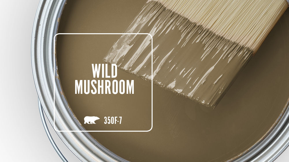 WILD MUSHROOM Color for Mobile