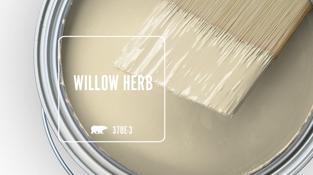 WILLOW HERB Color for Mobile