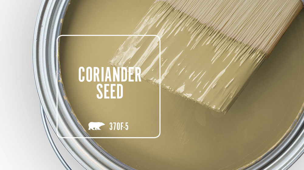 CORIANDER SEED Color for Mobile