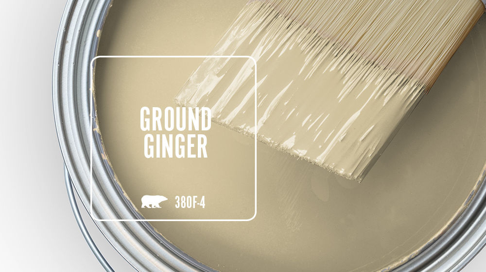 GROUND GINGER Color for Mobile