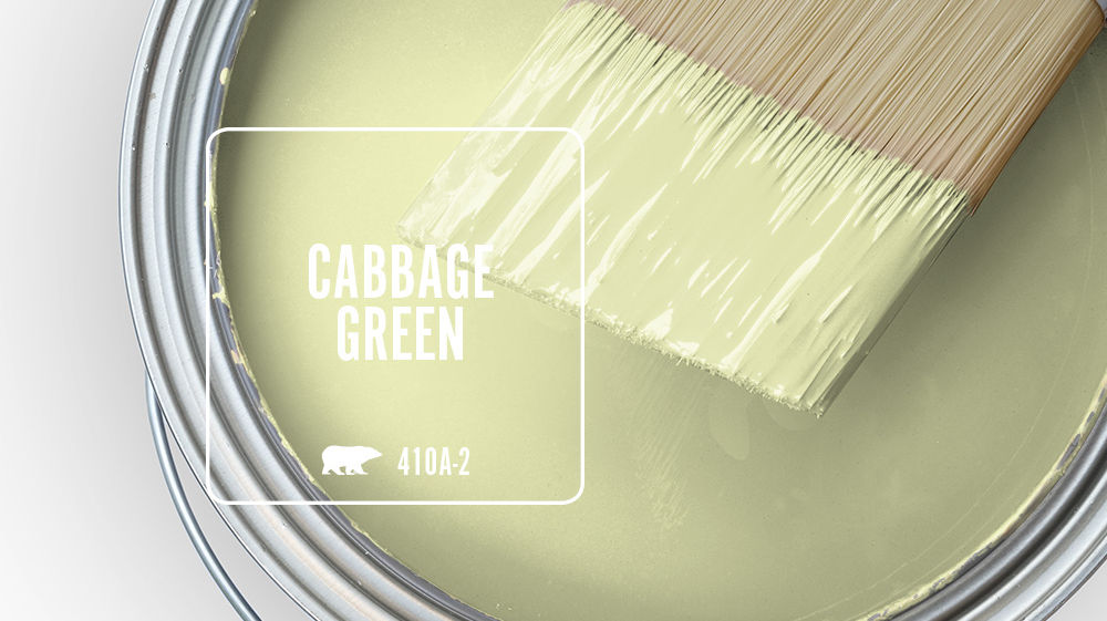 CABBAGE GREEN Color for Mobile