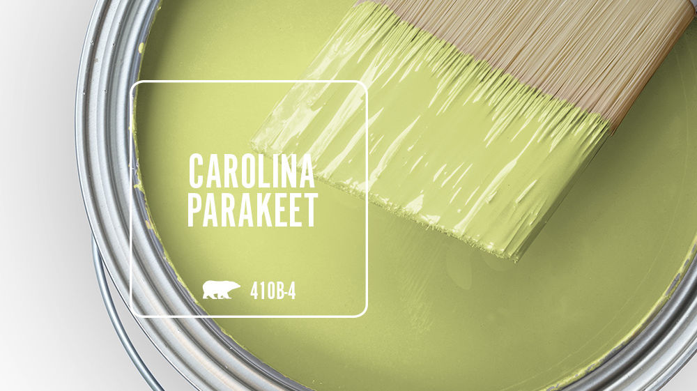 CAROLINA PARAKEET Color for Mobile