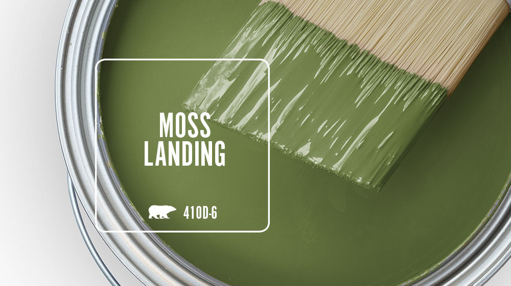 MOSS LANDING Color for Mobile