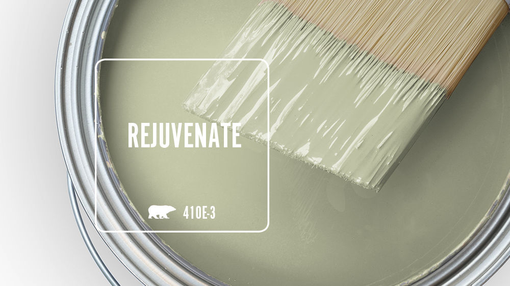 REJUVENATE Color for Mobile