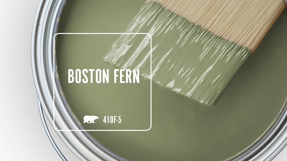 BOSTON FERN Color for Mobile