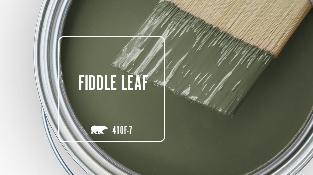 FIDDLE LEAF Color for Mobile