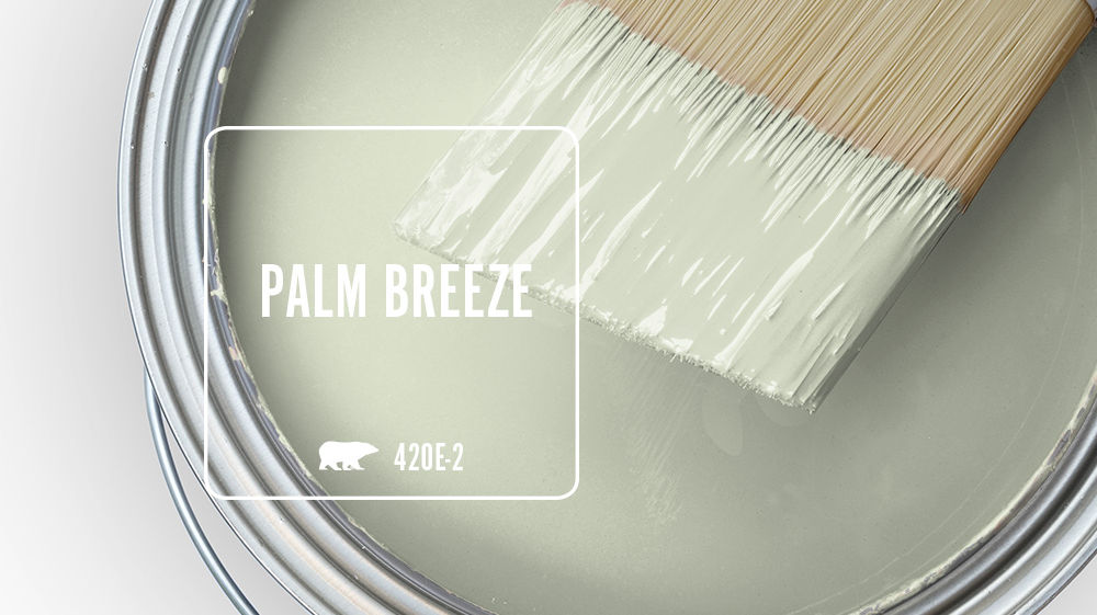 PALM BREEZE Color for Mobile