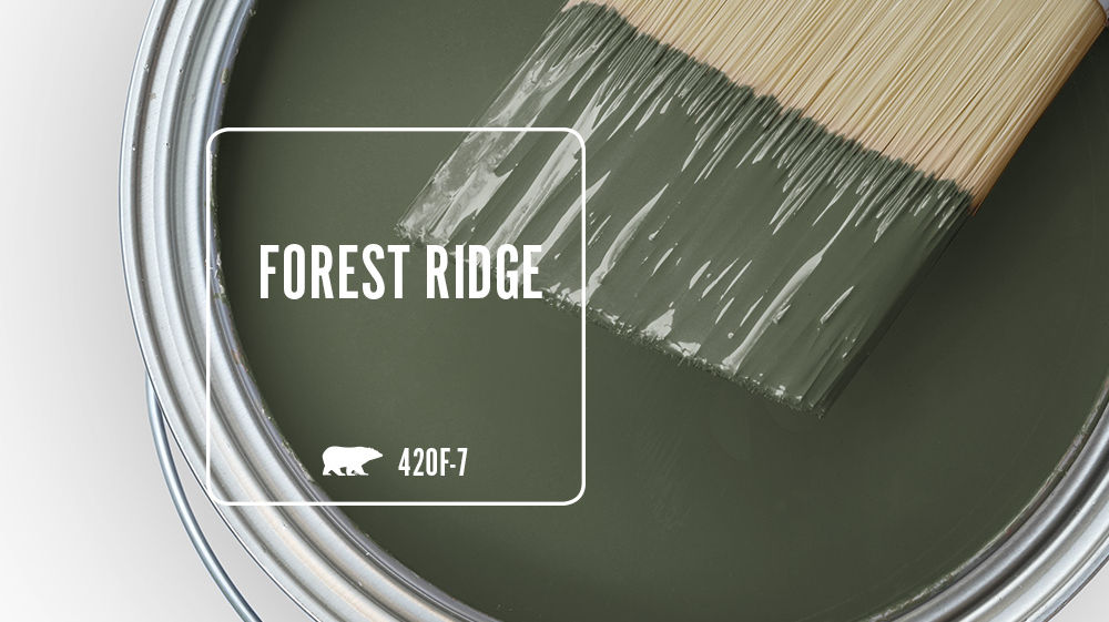 FOREST RIDGE Color