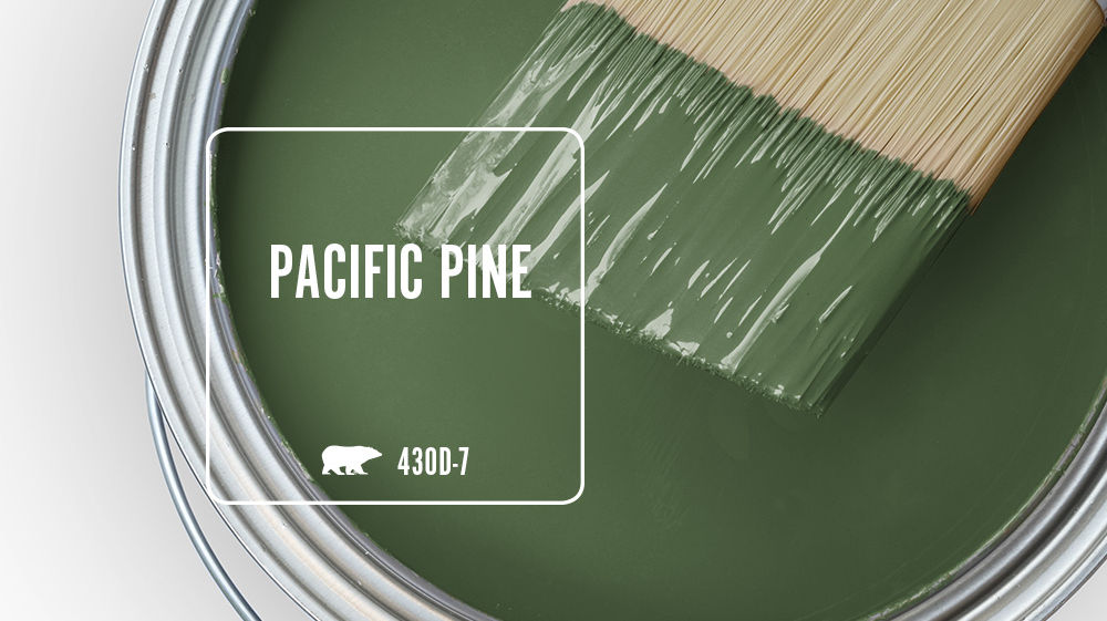 PACIFIC PINE Color