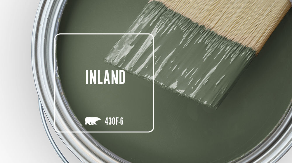 INLAND Color for Mobile