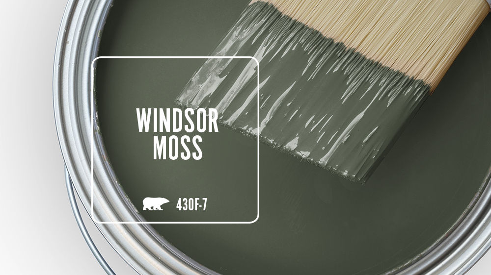 WINDSOR MOSS Color for Mobile