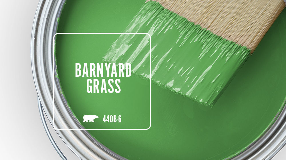 BARNYARD GRASS Color