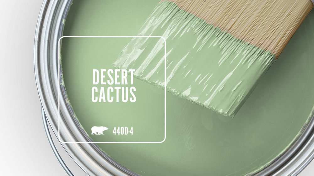 DESERT CACTUS Color for Mobile