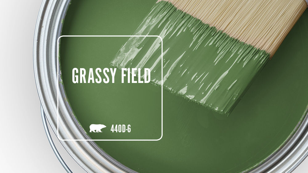 GRASSY FIELD Color