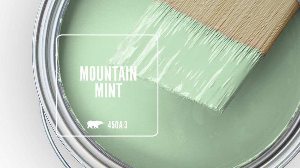 MOUNTAIN MINT Color for Mobile