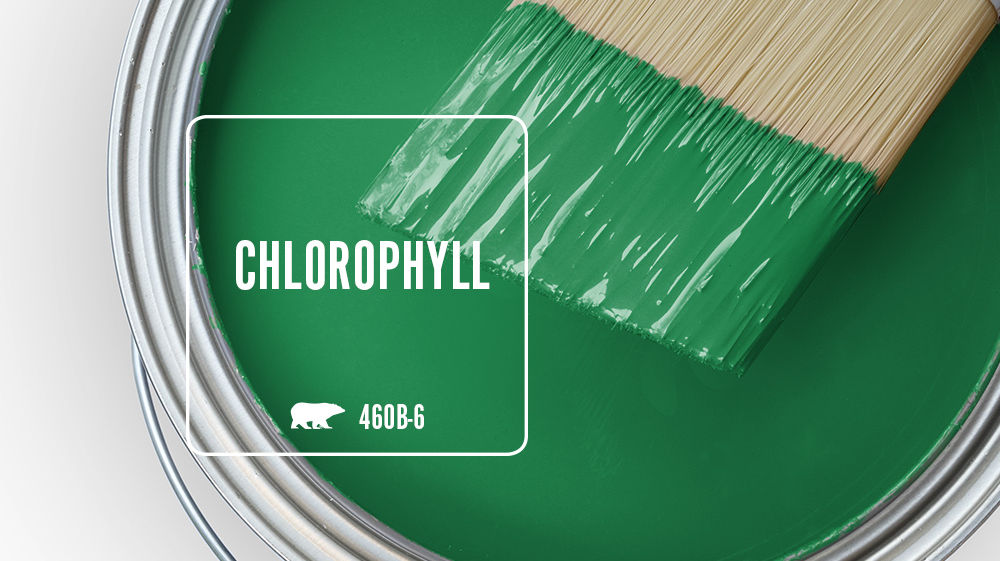 CHLOROPHYLL Color for Mobile
