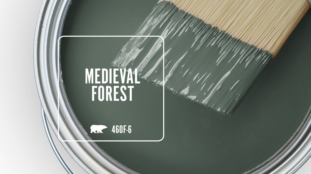 MEDIEVAL FOREST Color for Mobile