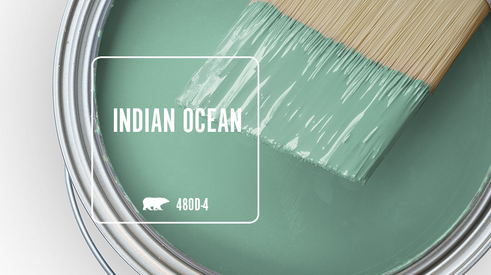 INDIAN OCEAN Color