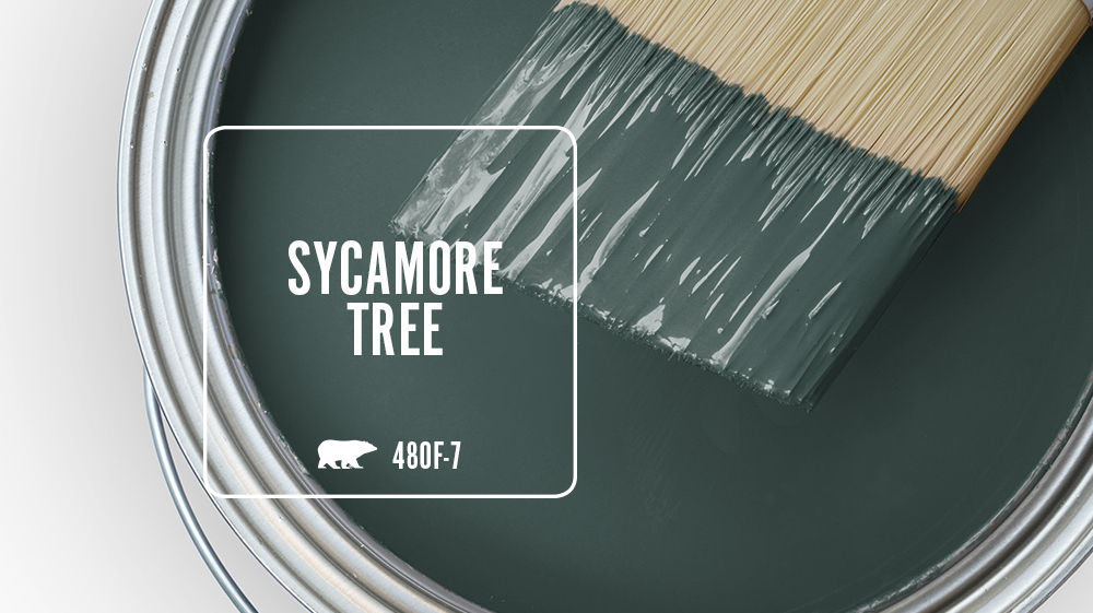 SYCAMORE TREE Color for Mobile