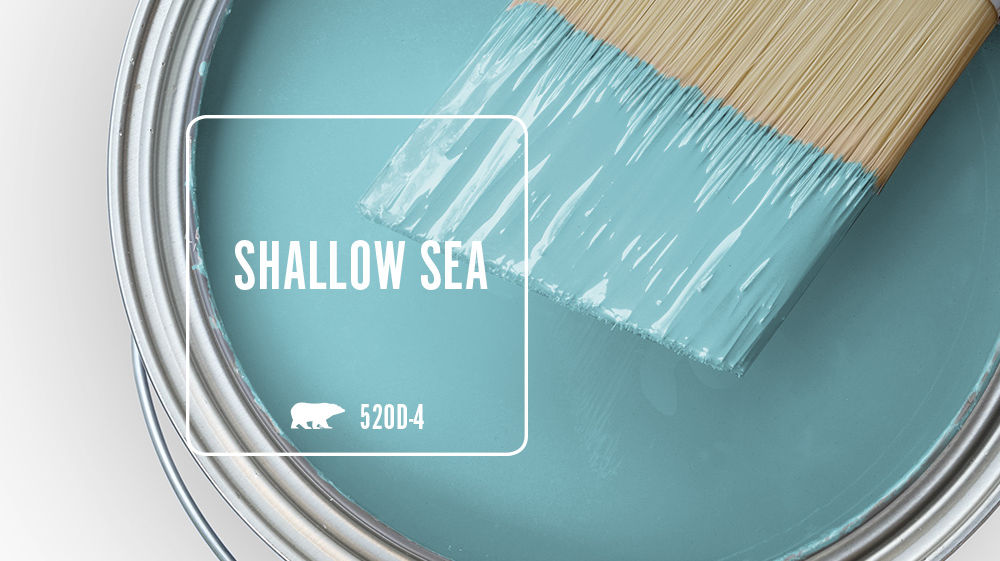 SHALLOW SEA Color