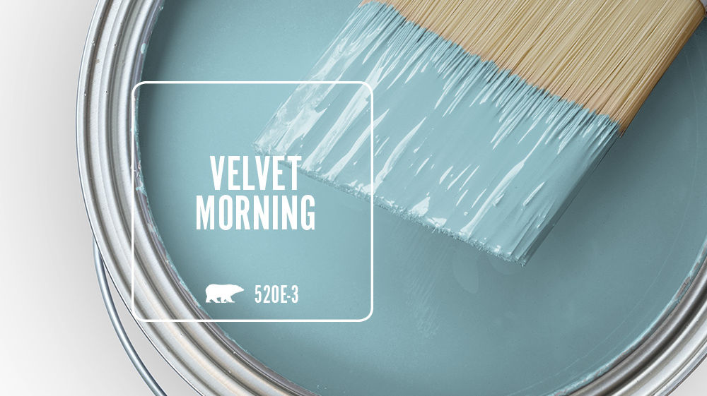 VELVET MORNING Color