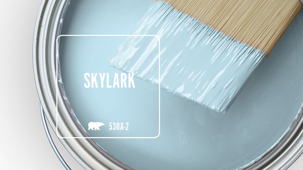 SKYLARK Color